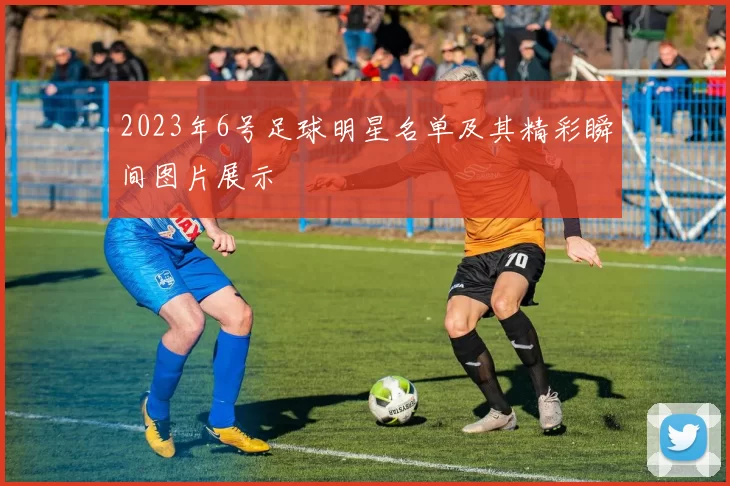 2023年6号足球明星名单及其精彩瞬间图片展示