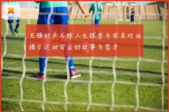 王强的乒乓球人生探索与深度对话揭示运动背后的故事与哲学