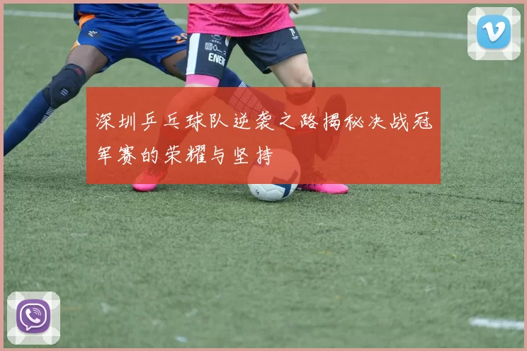 深圳乒乓球队逆袭之路揭秘决战冠军赛的荣耀与坚持