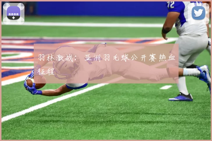 羽林激战：亚洲羽毛球公开赛热血征程