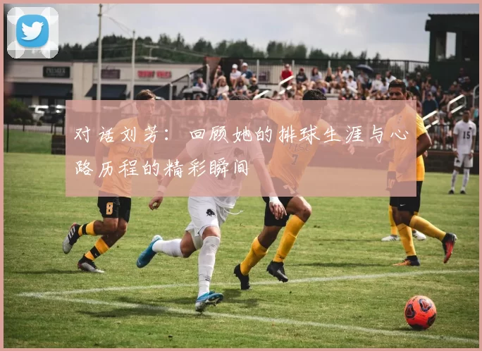 对话刘芳：回顾她的排球生涯与心路历程的精彩瞬间