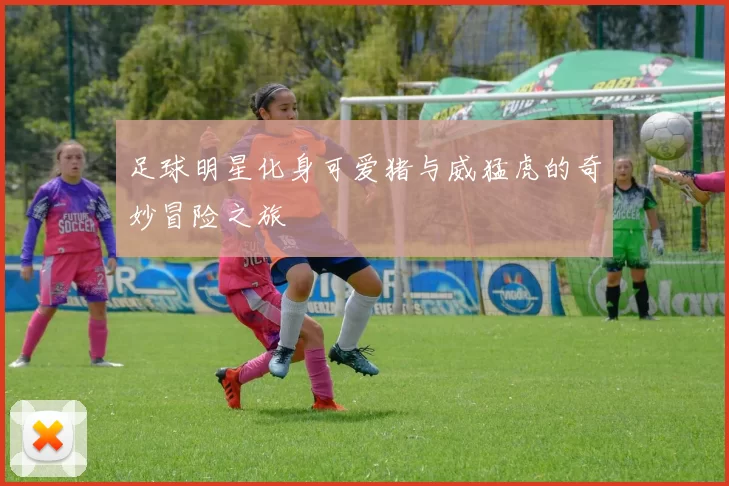 足球明星化身可爱猪与威猛虎的奇妙冒险之旅