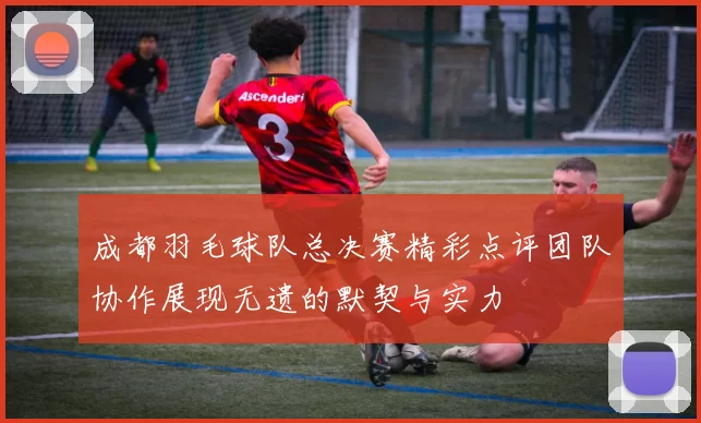 成都羽毛球队总决赛精彩点评团队协作展现无遗的默契与实力