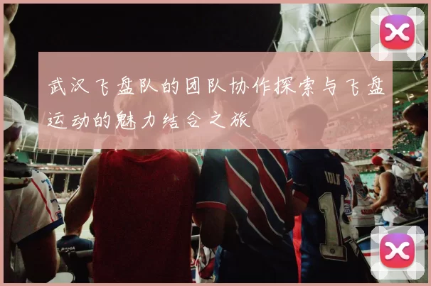 武汉飞盘队的团队协作探索与飞盘运动的魅力结合之旅