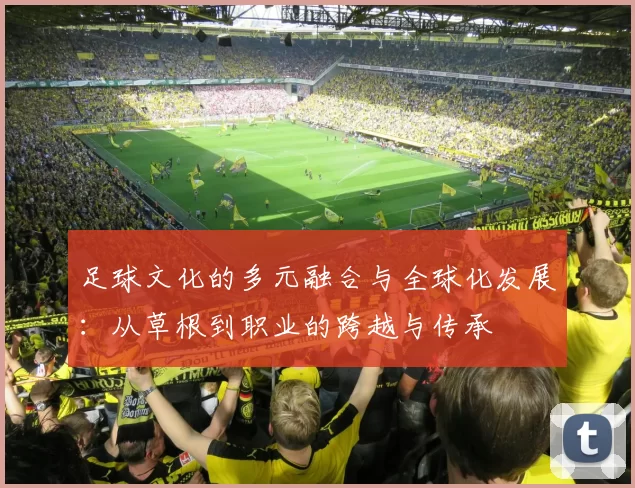 足球文化的多元融合与全球化发展：从草根到职业的跨越与传承
