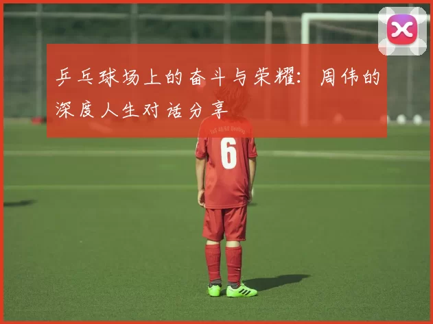 乒乓球场上的奋斗与荣耀：周伟的深度人生对话分享