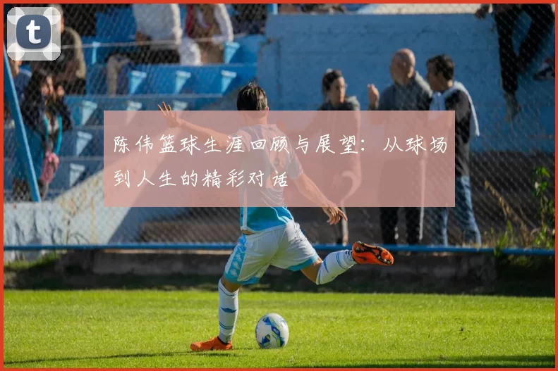 陈伟篮球生涯回顾与展望：从球场到人生的精彩对话