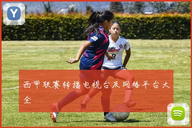 西甲联赛转播电视台及网络平台大全