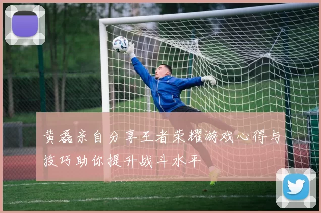 黄磊亲自分享王者荣耀游戏心得与技巧助你提升战斗水平