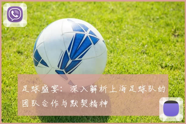足球盛宴：深入解析上海足球队的团队合作与默契精神