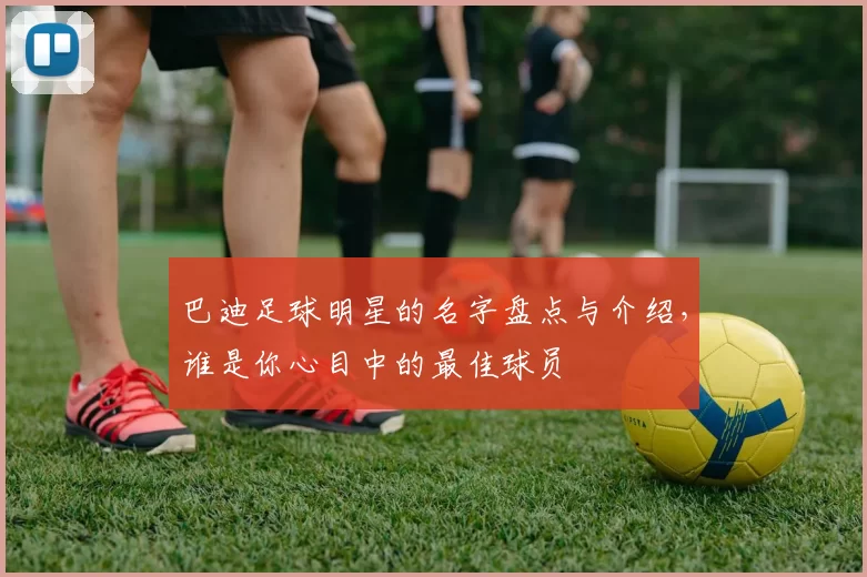 巴迪足球明星的名字盘点与介绍，谁是你心目中的最佳球员