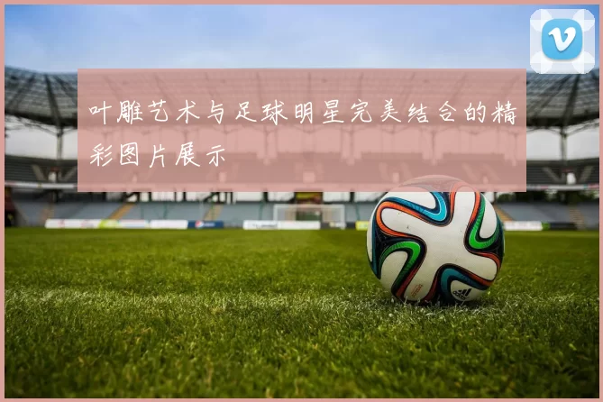 叶雕艺术与足球明星完美结合的精彩图片展示