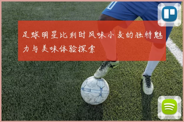 足球明星比利时风味小麦的独特魅力与美味体验探索