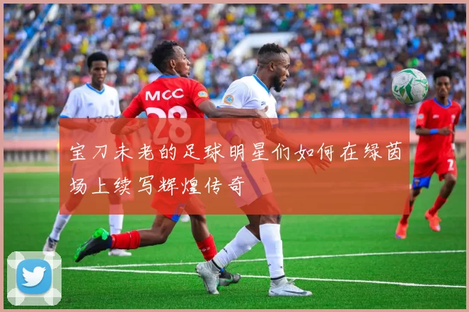 宝刀未老的足球明星们如何在绿茵场上续写辉煌传奇