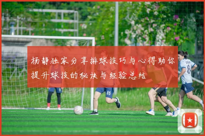 杨静独家分享排球技巧与心得助你提升球技的秘诀与经验总结