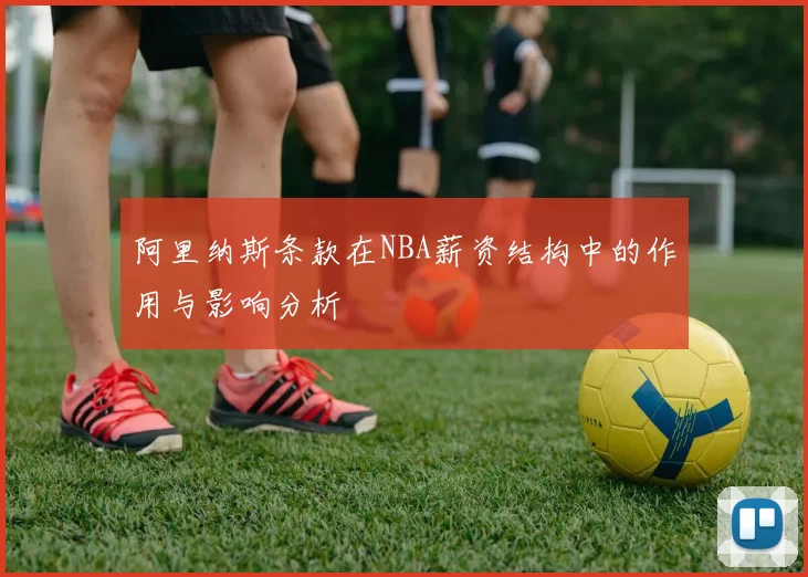 阿里纳斯条款在NBA薪资结构中的作用与影响分析