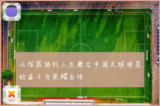 从绿茵场到人生舞台中国足球明星的奋斗与荣耀自传