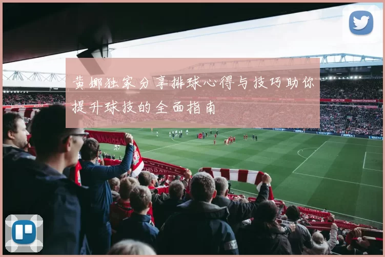 黄娜独家分享排球心得与技巧助你提升球技的全面指南