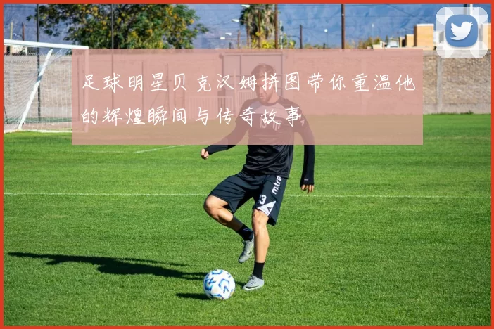 足球明星贝克汉姆拼图带你重温他的辉煌瞬间与传奇故事