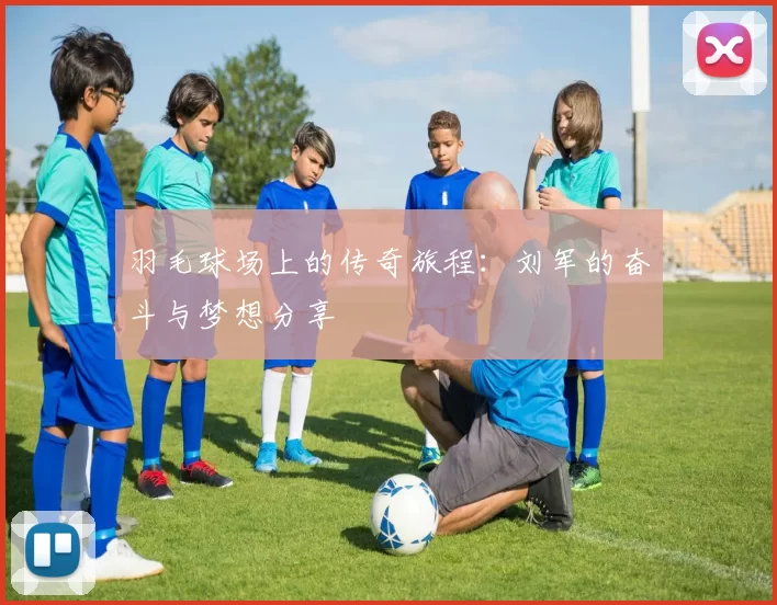 羽毛球场上的传奇旅程：刘军的奋斗与梦想分享