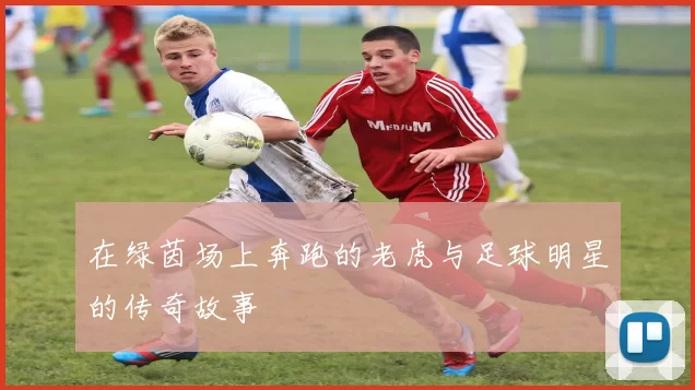 在绿茵场上奔跑的老虎与足球明星的传奇故事